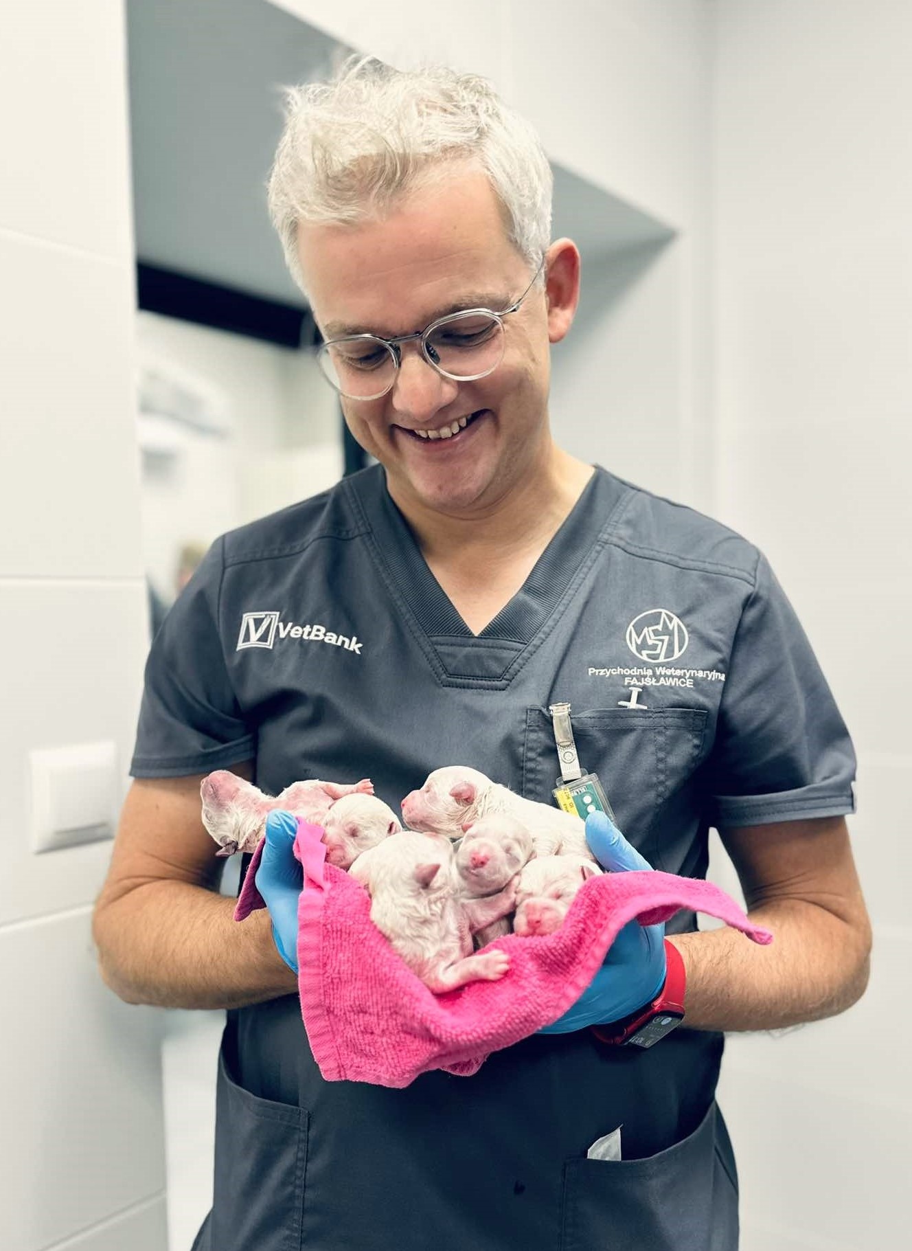 weterynarz trzyma nowonarodzone psy